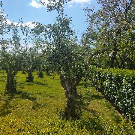 Il Giardino Di Athena 1 Apartment Paestum Ngoại thất bức ảnh