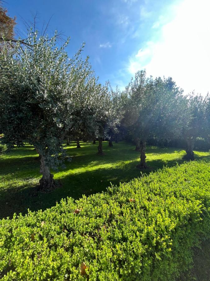 Il Giardino Di Athena 1 Apartment Paestum Ngoại thất bức ảnh