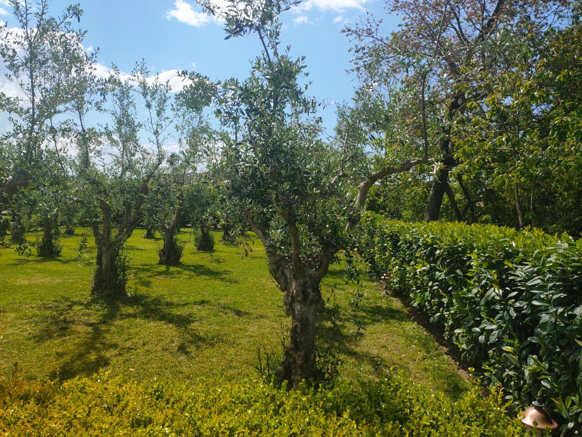 Il Giardino Di Athena 1 Apartment Paestum Ngoại thất bức ảnh