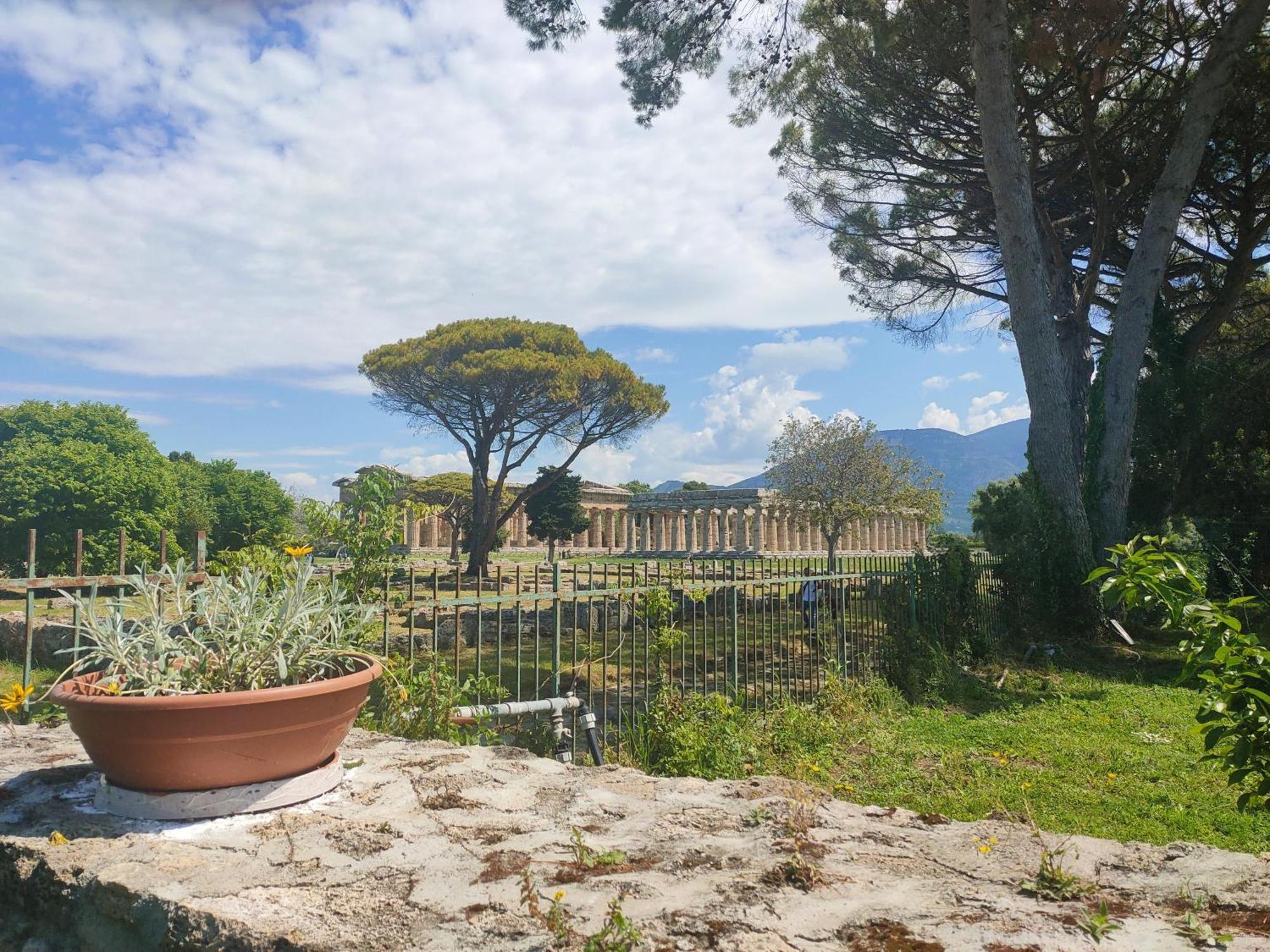 Il Giardino Di Athena 1 Apartment Paestum Phòng bức ảnh
