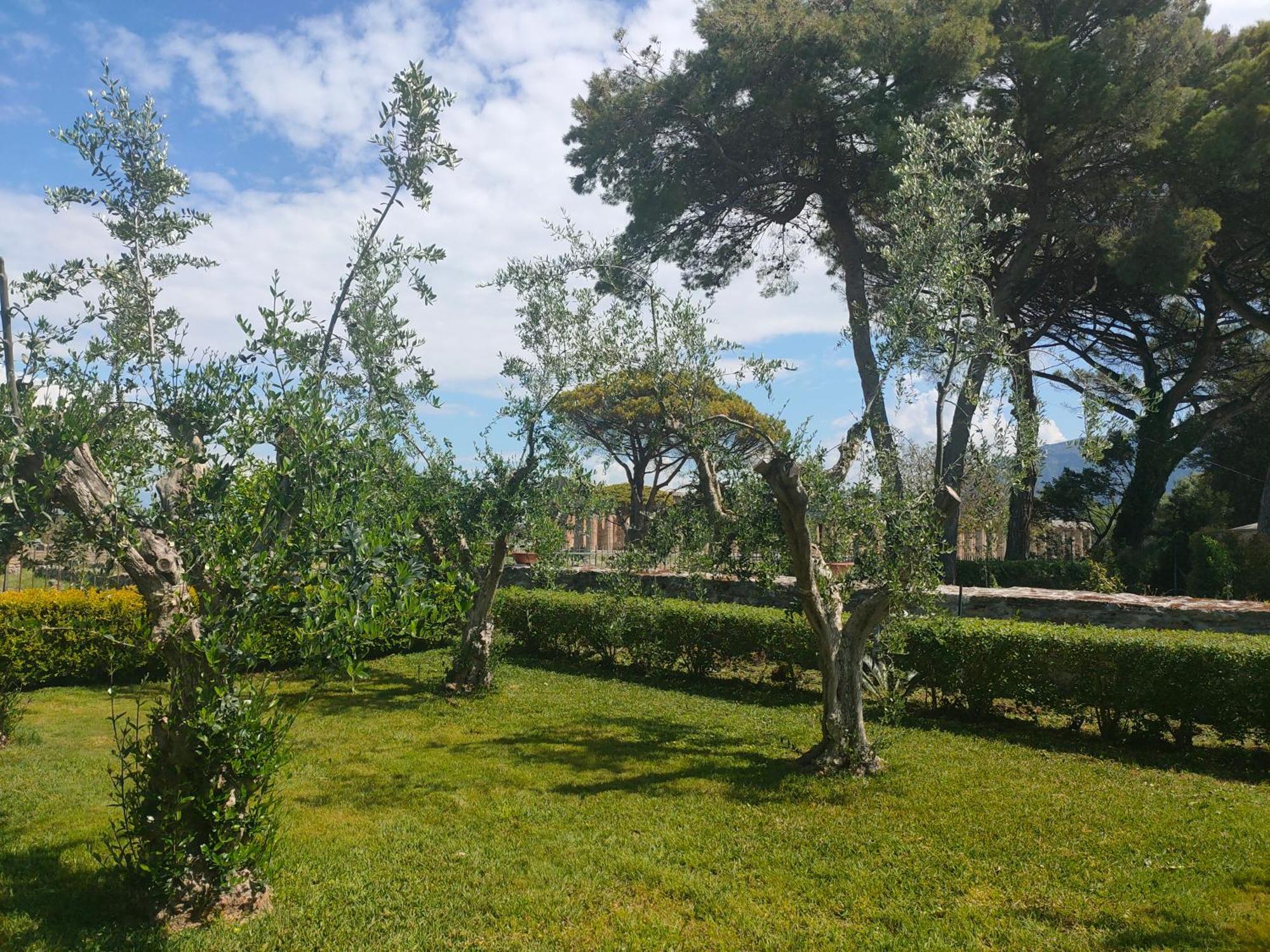 Il Giardino Di Athena 1 Apartment Paestum Ngoại thất bức ảnh