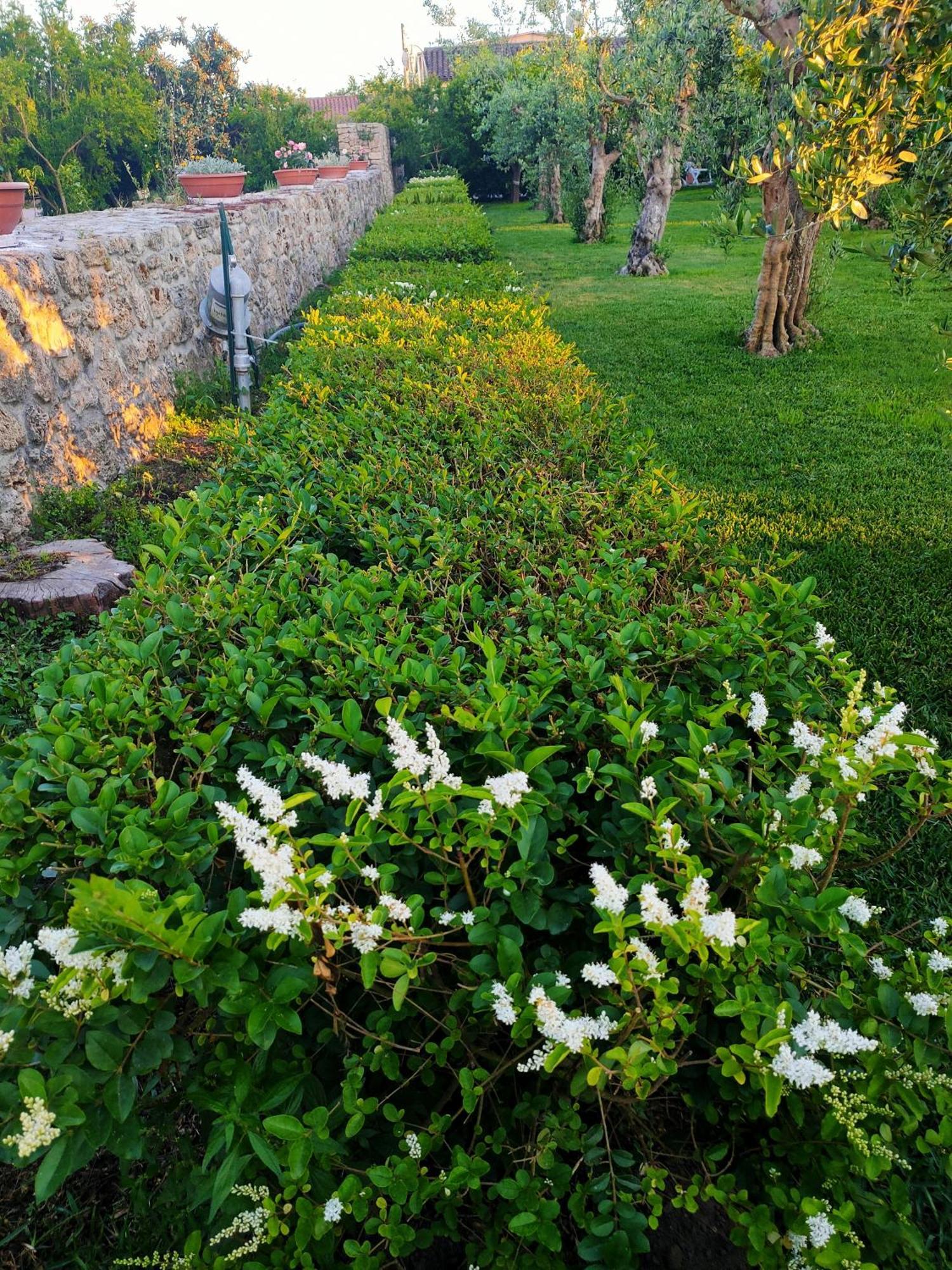 Il Giardino Di Athena 1 Apartment Paestum Ngoại thất bức ảnh